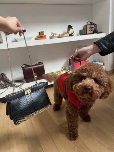 POCHETTE PEEKABOO CON FRANGE FENDI - borsa di lusso second hand