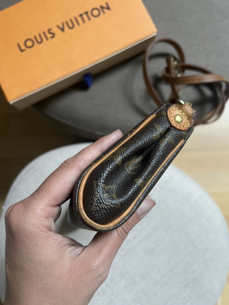 POCHETTE EVA LOUIS VUITTON