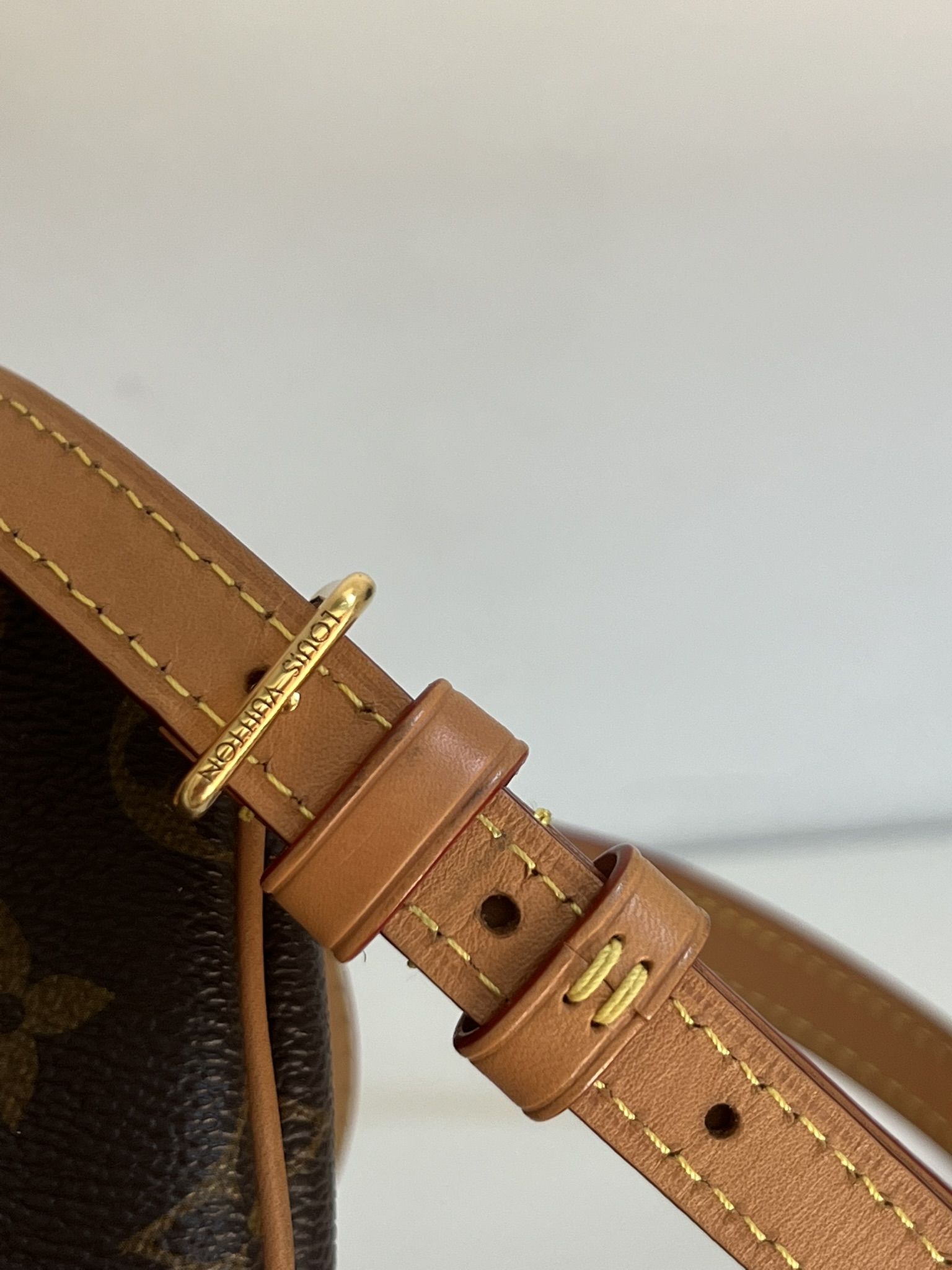 NANO SPEEDY LOUIS VUITTON